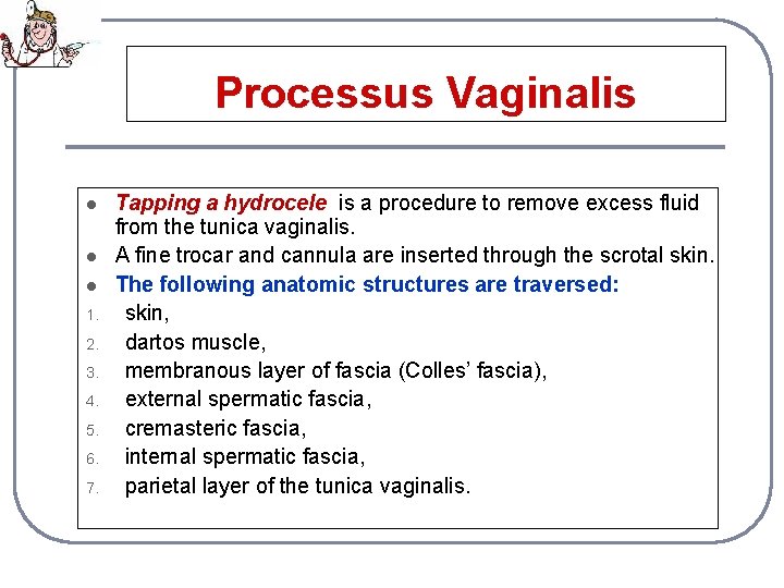 Processus Vaginalis l l l 1. 2. 3. 4. 5. 6. 7. Tapping a