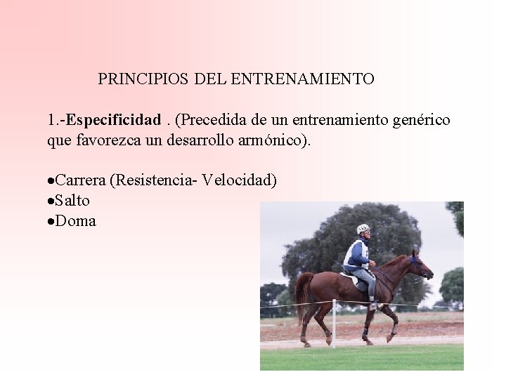 PRINCIPIOS DEL ENTRENAMIENTO 1. -Especificidad. (Precedida de un entrenamiento genérico que favorezca un desarrollo