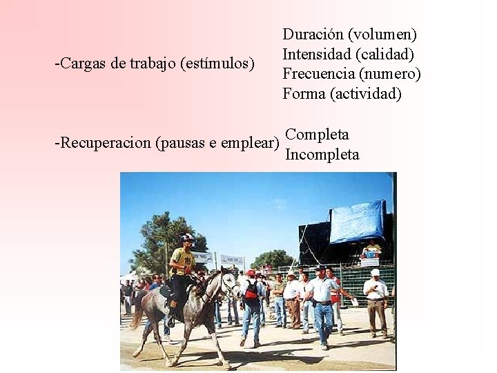 -Cargas de trabajo (estímulos) Duración (volumen) Intensidad (calidad) Frecuencia (numero) Forma (actividad) -Recuperacion (pausas