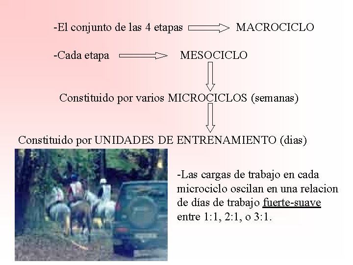 -El conjunto de las 4 etapas -Cada etapa MACROCICLO MESOCICLO Constituido por varios MICROCICLOS