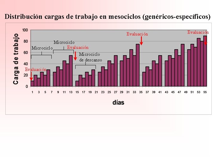 Distribución cargas de trabajo en mesociclos (genéricos-específicos) Evaluación Microciclo de descanso Evaluación 