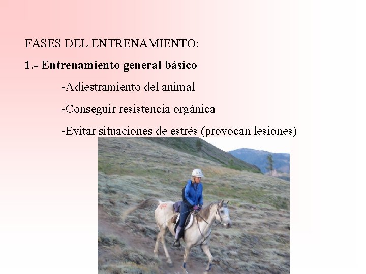 FASES DEL ENTRENAMIENTO: 1. - Entrenamiento general básico -Adiestramiento del animal -Conseguir resistencia orgánica