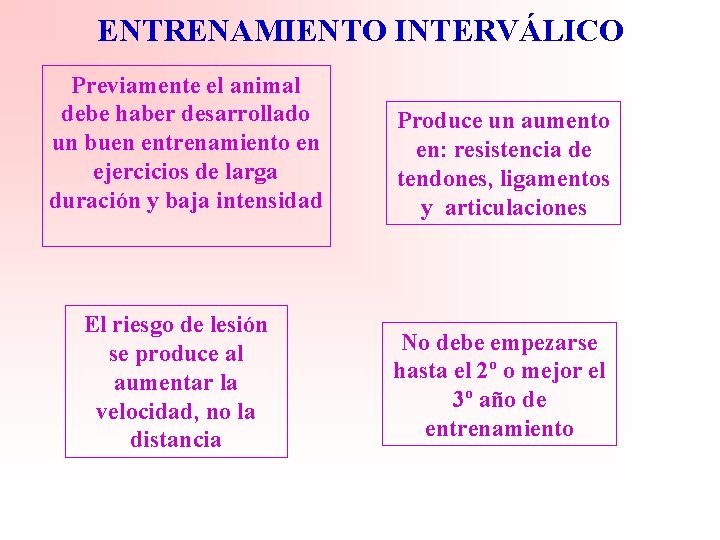 ENTRENAMIENTO INTERVÁLICO Previamente el animal debe haber desarrollado un buen entrenamiento en ejercicios de