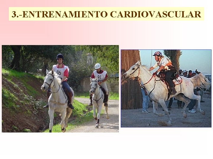 3. -ENTRENAMIENTO CARDIOVASCULAR 