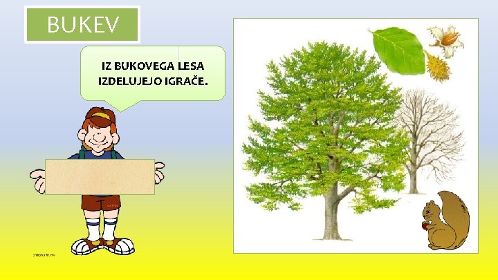 BUKEV IZ BUKOVEGA LESA IZDELUJEJO IGRAČE. 