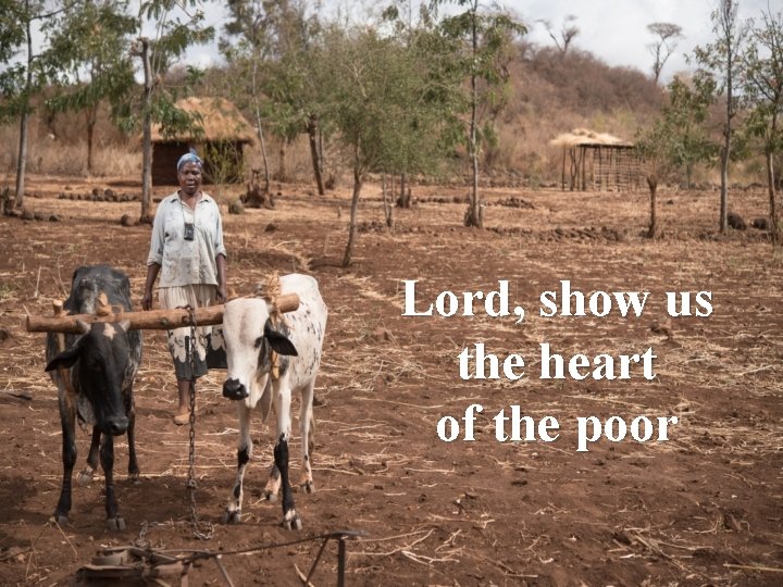 Lord, show us the heart of the poor 