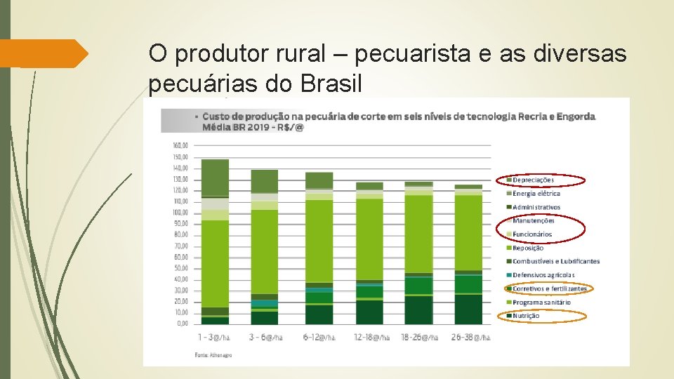 O produtor rural – pecuarista e as diversas pecuárias do Brasil 