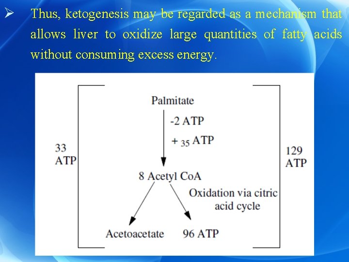 Ø Thus, ketogenesis may be regarded as a mechanism that allows liver to oxidize