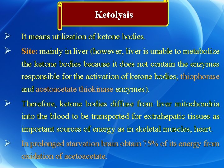 Ketolysis Ø It means utilization of ketone bodies. Ø Site: mainly in liver (however,