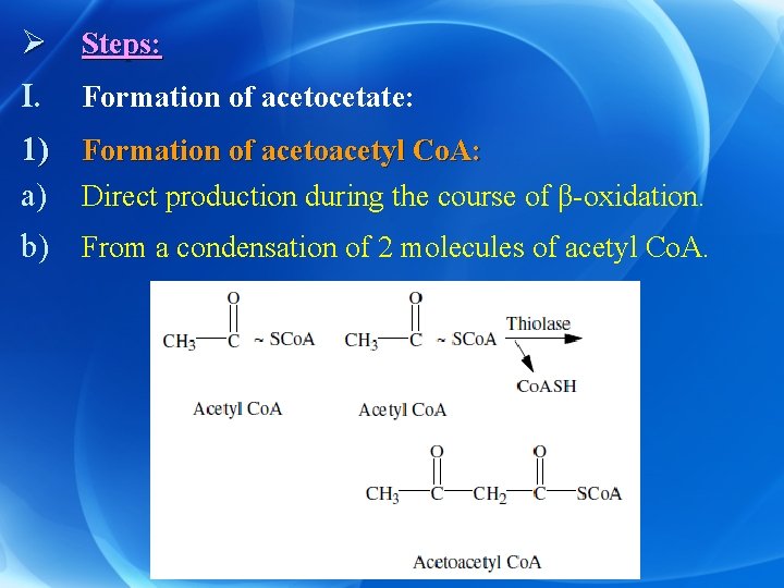 Ø Steps: I. Formation of acetocetate: 1) Formation of acetoacetyl Co. A: a) Direct