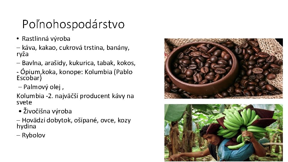Poľnohospodárstvo • Rastlinná výroba – káva, kakao, cukrová trstina, banány, ryža – Bavlna, arašidy,