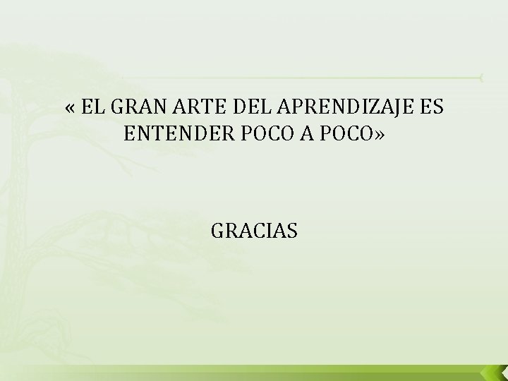  « EL GRAN ARTE DEL APRENDIZAJE ES ENTENDER POCO A POCO» GRACIAS 