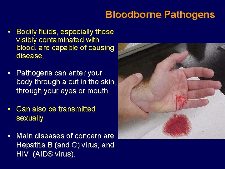 Bloodborne Pathogens • Bodily fluids, especially those visibly contaminated with blood, are capable of