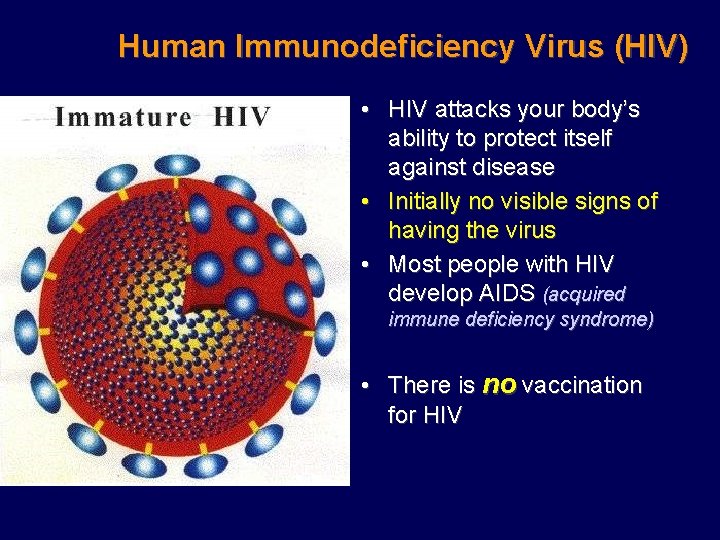 Human Immunodeficiency Virus (HIV) • HIV attacks your body’s ability to protect itself against