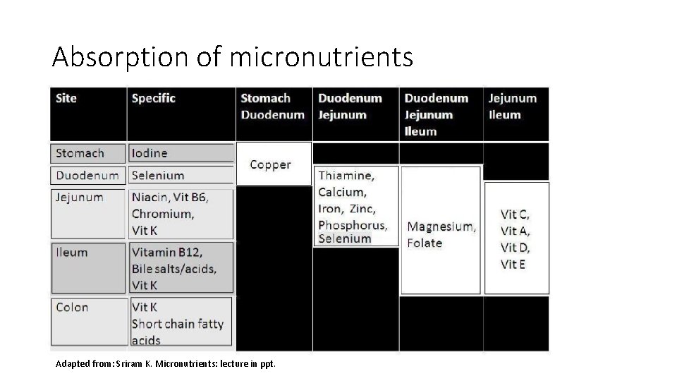 Absorption of micronutrients Adapted from: Sriram K. Micronutrients: lecture in ppt. 