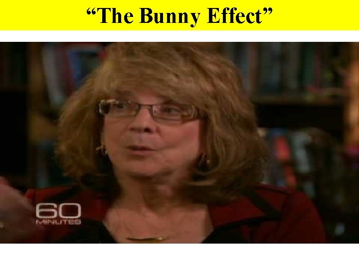 “The Bunny Effect” 
