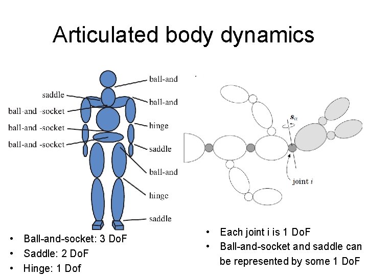Articulated body dynamics • Ball-and-socket: 3 Do. F • Saddle: 2 Do. F •