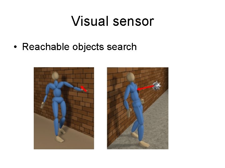 Visual sensor • Reachable objects search 