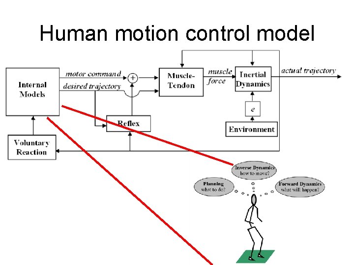Human motion control model 