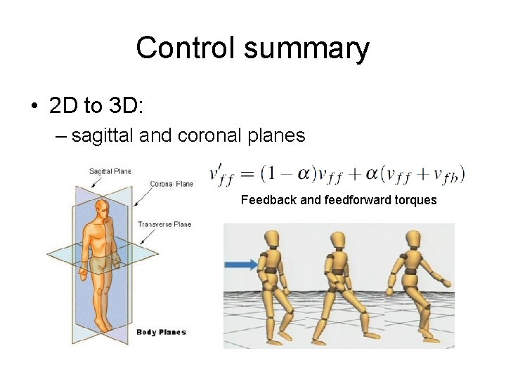 Control summary • 2 D to 3 D: – sagittal and coronal planes Feedback