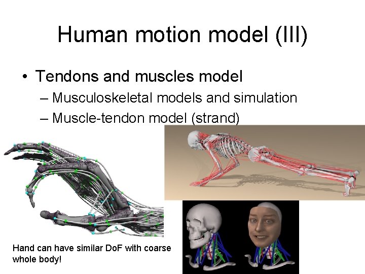 Human motion model (III) • Tendons and muscles model – Musculoskeletal models and simulation