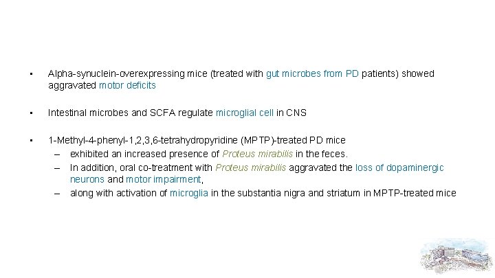  • Alpha-synuclein-overexpressing mice (treated with gut microbes from PD patients) showed aggravated motor