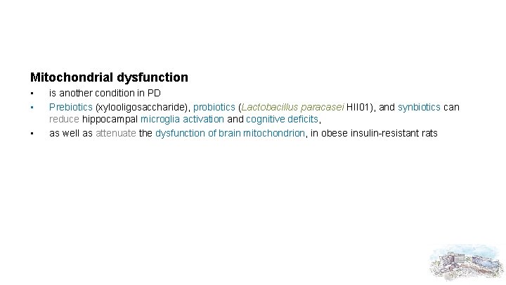 Mitochondrial dysfunction • • • is another condition in PD Prebiotics (xylooligosaccharide), probiotics (Lactobacillus