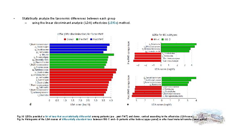 • Statistically analyze the taxonomic differences between each group – using the linear