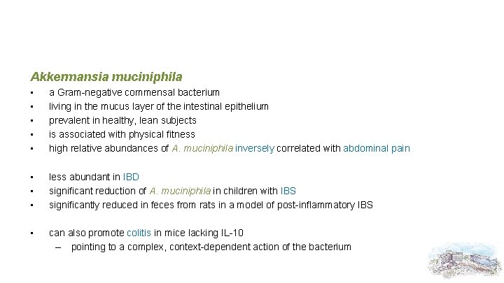 Akkermansia muciniphila • • • a Gram-negative commensal bacterium living in the mucus layer