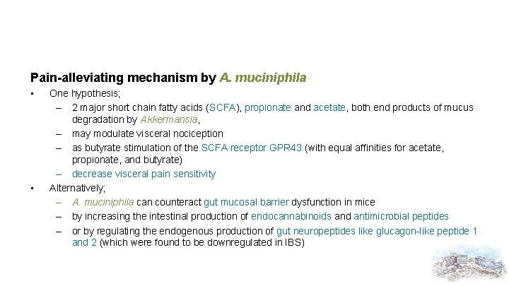 Pain-alleviating mechanism by A. muciniphila • • One hypothesis; – 2 major short chain