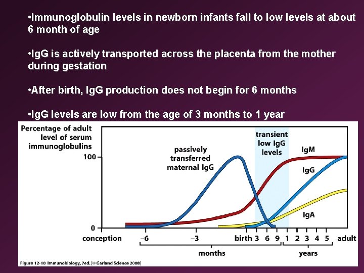  • Immunoglobulin levels in newborn infants fall to low levels at about 6