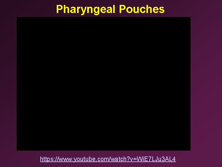 Pharyngeal Pouches https: //www. youtube. com/watch? v=Wi. E 7 LJu 3 AL 4 