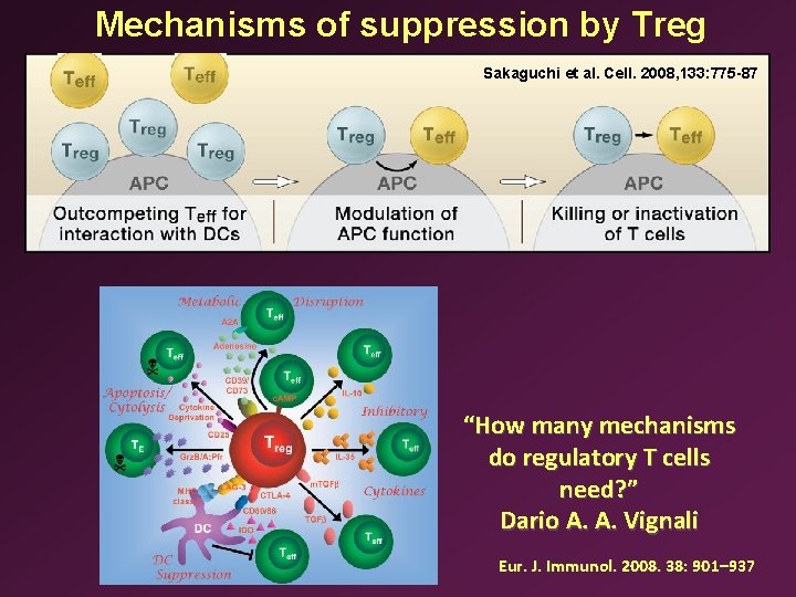 Mechanisms of suppression by Treg Sakaguchi et al. Cell. 2008, 133: 775 -87 “How