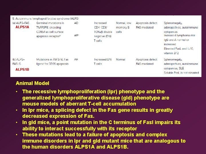 ALPS 1 A ALPS 1 B Animal Model • The recessive lymphoproliferation (lpr) phenotype