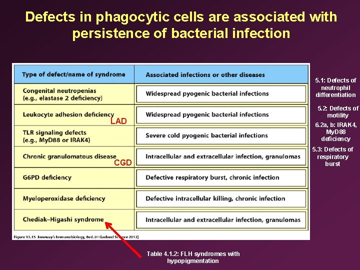 Defects in phagocytic cells are associated with persistence of bacterial infection 5. 1: Defects