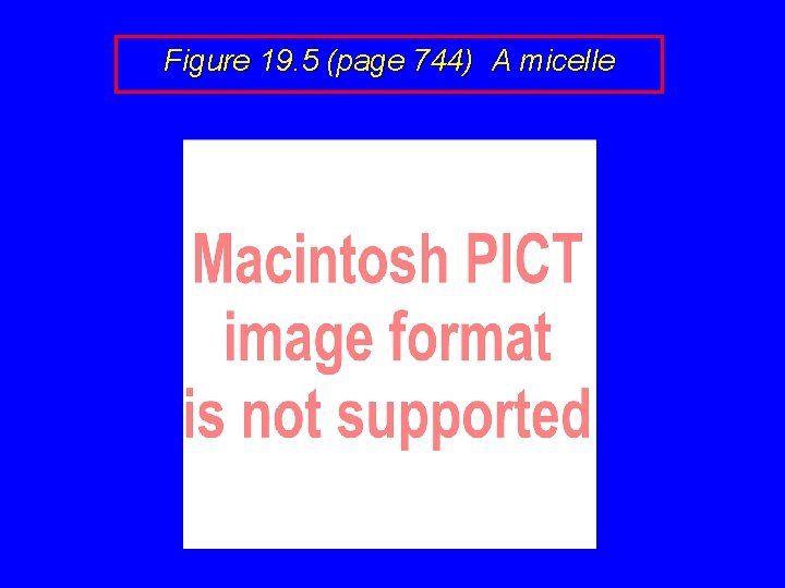 Figure 19. 5 (page 744) A micelle 