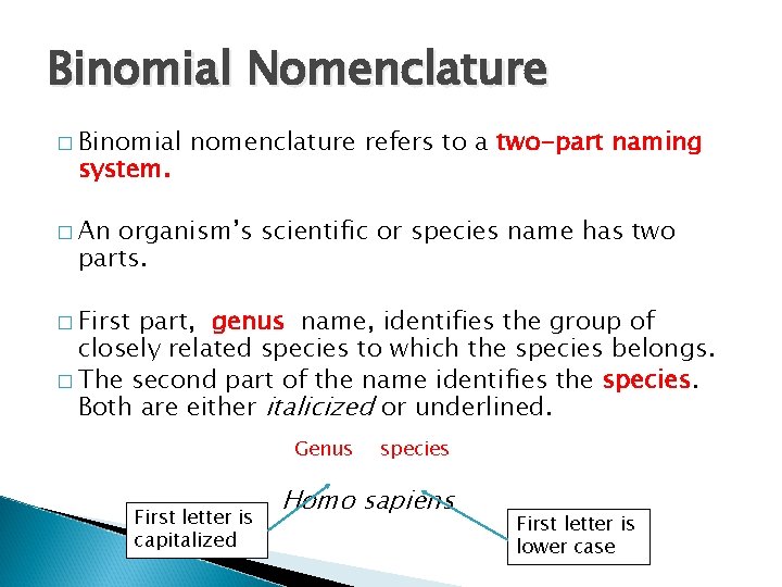Binomial Nomenclature � Binomial system. nomenclature refers to a two-part naming � An organism’s Binomial Nomenclature � Binomial system. nomenclature refers to a two-part naming � An organism’s