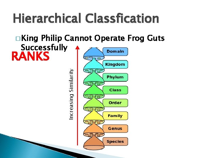Hierarchical Classfication � King Philip Cannot Operate Frog Guts Successfully Increasing Similarity RANKS Hierarchical Classfication � King Philip Cannot Operate Frog Guts Successfully Increasing Similarity RANKS
