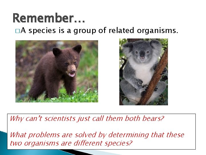 Remember… �A species is a group of related organisms. Why can’t scientists just call Remember… �A species is a group of related organisms. Why can’t scientists just call
