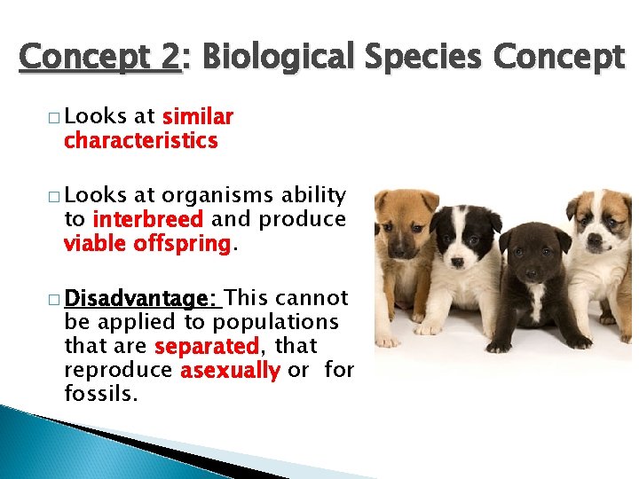 Concept 2: Biological Species Concept � Looks at similar characteristics � Looks at organisms Concept 2: Biological Species Concept � Looks at similar characteristics � Looks at organisms