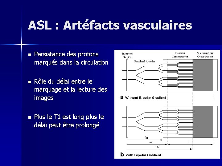 ASL : Artéfacts vasculaires n Persistance des protons marqués dans la circulation n Rôle