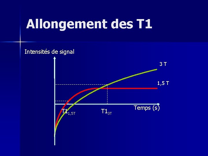 Allongement des T 1 Intensités de signal 3 T 1, 5 T T 11,