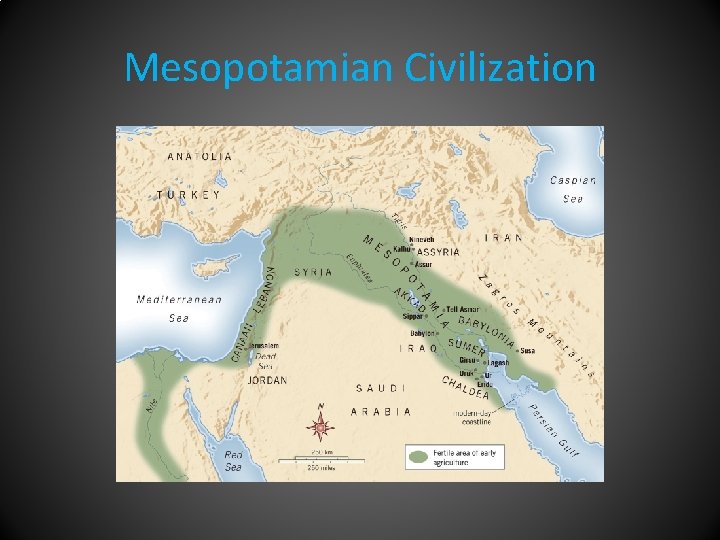 Mesopotamian Civilization 