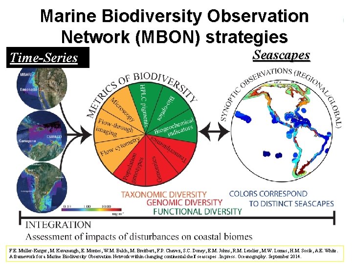 Marine Biodiversity Observation Network (MBON) strategies Time-Series Seascapes F. E. Muller-Karger, M. Kavanaugh, E.