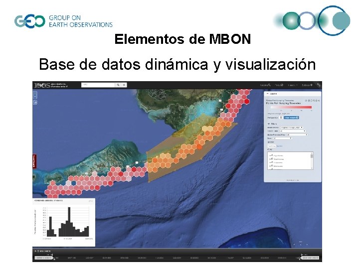 Elementos de MBON Base de datos dinámica y visualización 