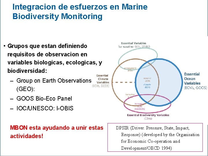 Integracion de esfuerzos en Marine Biodiversity Monitoring • Grupos que estan definiendo requisitos de