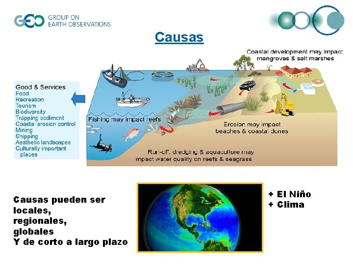 Causas pueden ser locales, regionales, globales Y de corto a largo plazo + El