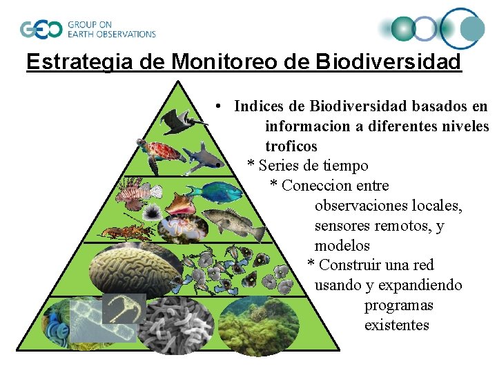 Estrategia de Monitoreo de Biodiversidad • Indices de Biodiversidad basados en informacion a diferentes