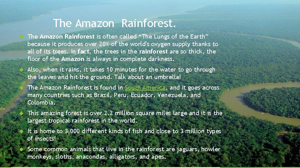 The Amazon Rainforest is often called “The Lungs of the Earth” because it produces