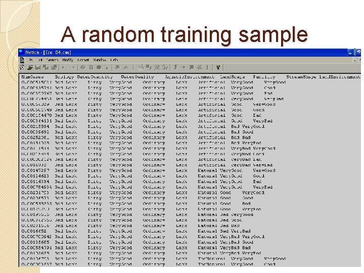 A random training sample 